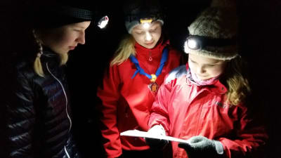 Tre scouter lyser med sina pannlampor upp sin orienteringskarta under en nattorientering.