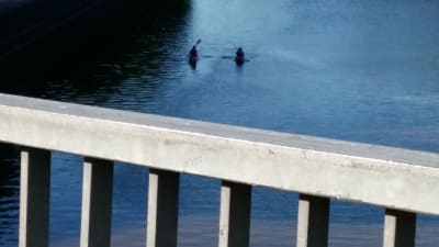 Utsikt från bro med räcke. Kajakpaddlare på Aura å