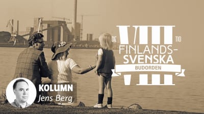 De tio finlandssvenska budorden artikel 8