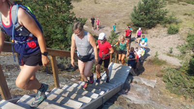 Motionärer i löpkläder springer upp för en trätrappa på Örö i samband med stiglöpningsevenemanget "Vi drar till skogs"