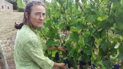 Vinproducenten Claire Naudin är orolig för de stekheta somrarna. Bland annat är vindruvorna mindre än vanligt.