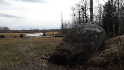 En stor sten i Djupsten i Nykarleby