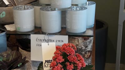 En blomma och lyktor i en blomsteraffär i Nykarleby.