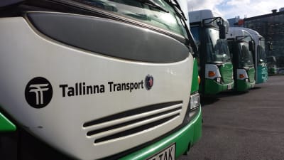Bussar i rad på depå i Tallinn.