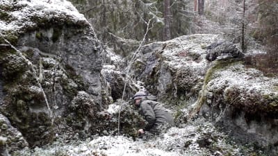 Biologen Niclas Fritzén på väg in under ett klippblock i jakten på småkryp.