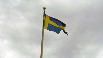 En trasig Sveriges flagga vajar i vinden.