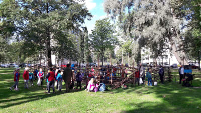 Skolbarn sätter potatis i Kuppis park i Åbo 2017