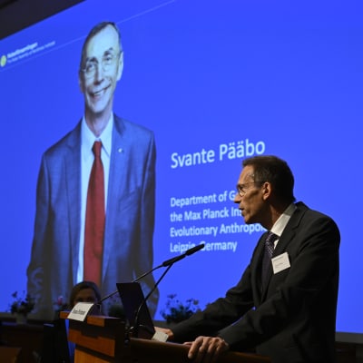 Sekreteraren för Nobelförsamlingen vid Karolinska institutet, Thomas Perlmann, tillkännager pristagaren i fysiologi eller medicin (Svante Pääbo) under en presskonferens.