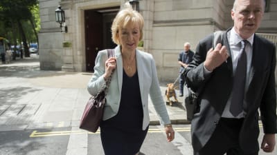 Andrea Leadsom, Torypartist