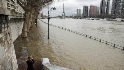 Floden Seine i Paris har svämmat över sina bräddar
