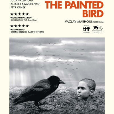 Filmplanschen till The Painted Bird. En kråka sitter och iakttar en pojke som är nedgrävd till halsen i lera.