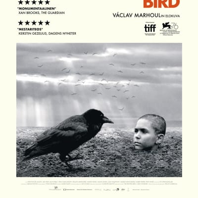 Filmplanschen till The Painted Bird. En kråka sitter och iakttar en pojke som är nedgrävd till halsen i lera.