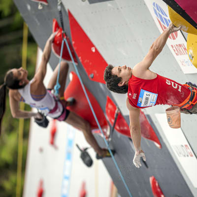 Sascha Lehmann klättrar.