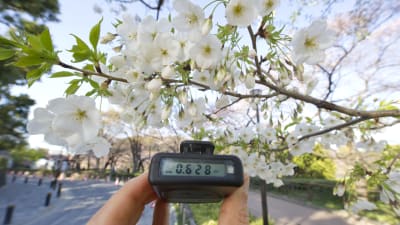 En Geigermätare visar 0,628 mikrosievert per timme i Tokyo, tre veckor efter olyckan i Fukushima 2011. 