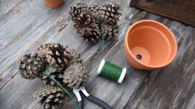Kottar, grön tråd, lerkruka och en tång på ett bord.