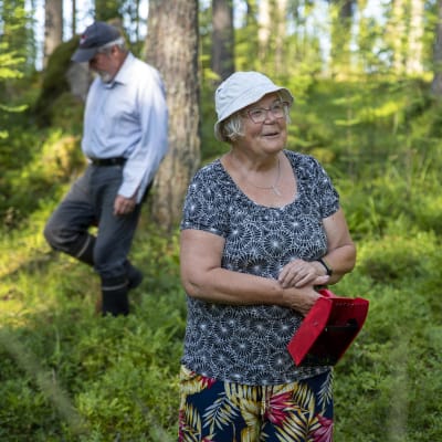Hannele Viljakainen seisoo metsässä mustikanpoimuri kädessään, hänen miehensä kulkee taustalla etsien mustikoita