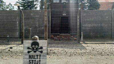 I koncentrationslägret Auschwitz I kontrolleras alla besökare 