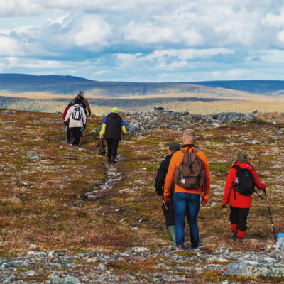 Ryhmä ihmisiä vaeltaa peräkkäin ruskan värittämässä tunturimaisemassa.