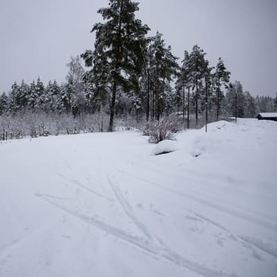 Huonokuntoinen hiihtolatu Kotkan Karhuvuoressa.