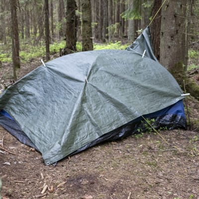 Metsän keskellä pressun alla oleva teltta