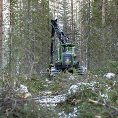 Metsäkone katkontahommissa metsäpalstalla Kuhmossa.