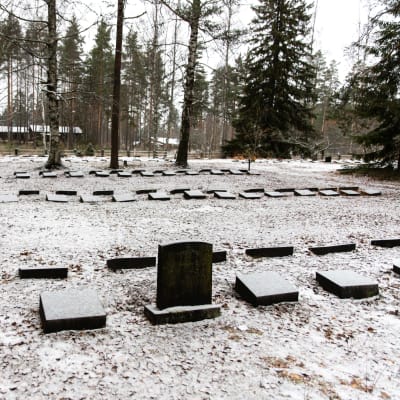 Hautakiviä Rauhan hautausmaalla.