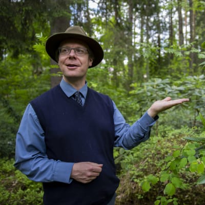 Arboretumin dendrologi Jaakko Saarinen Arboretum Mustilassa Kouvolan Elimäellä.