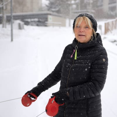 Jessica Löfgren-Eriksson ulkoiluttamassa koiriaan lumipyryssä Esoon Westendissä..