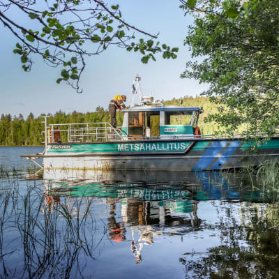 Metsähallituksen vene rantautuneena Koloveden kansallispuistossa.