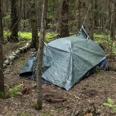 Metsän keskellä pressun alla oleva teltta