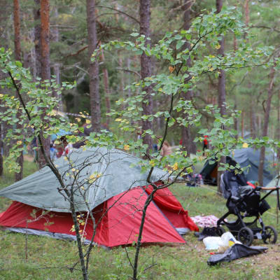 Tältområde för familjer på scoutläger i Kimitioön.