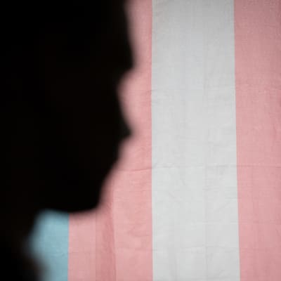 Ihmisen pään profiili, taustalla trans-lippu.