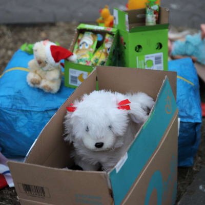 En vit, fluffig leksakshund tittar fram ur en papplåda. Runt omkring finns fler lådor och kassar med leksaker.