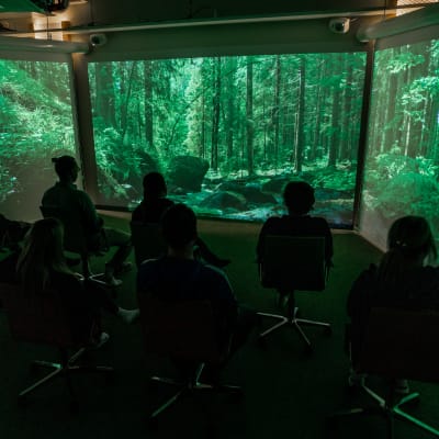 Ihimiset istuvat tuoleilla pimeässä huoneessa ja etupuolelle ja sivuille heijastetaan videota metsästä.