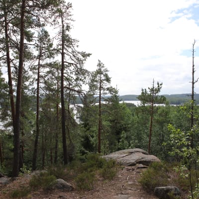 Murjanvuorelta maisemia.