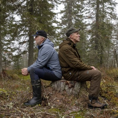 Arto Tolonen ja  Ahti Juntunen istuvat seläkkäin kannolla.