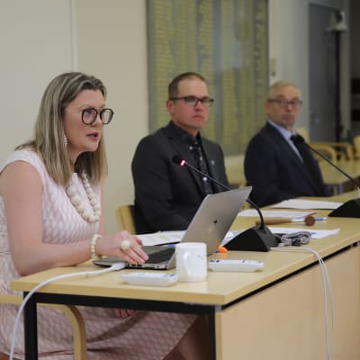 Kyyjärven kunnanjohtaja Tiina Pelkonen puhuu pöydän takaa.