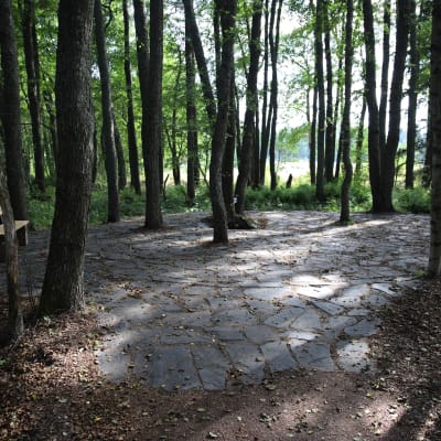 Keisarin huvipuiston alueen lähdealue Virolahden Tillissä.