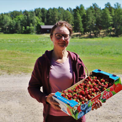 Bärodlare Tanja Vennelä med en låda jordgubbar i händerna.