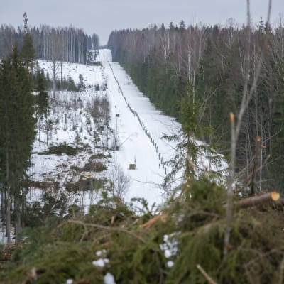 Suomen ja Venäjän raja sekä raja-aitaa varten kaadettua metsää Imatran Pelkolassa.