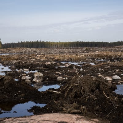 Tulevan Kotkan akkumateriaalitehtaan tontin työmaa Keltakalliolla Kotkassa.