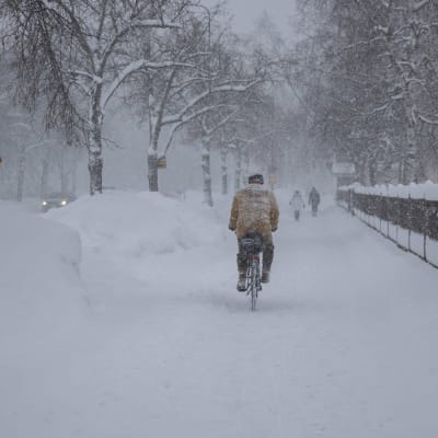 En person som cyklar medan det snöar ymnigt.  