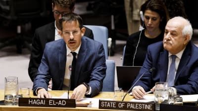 B’Tselems direktör Hagai El-Ad (till vänster) talade inför FN:s säkerhetsråd år 2018.