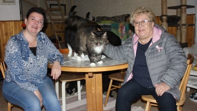 Två kvinnor sitter vid ett bord och ler och tittar in i kameran. En katt står på bordet mellan dem.