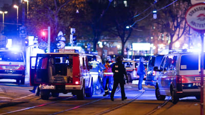 Bild på polisbilar med blåljus på. Ett stort pådrag pågår och polis och räddningspersonal står på gatan i centrala Wien.
