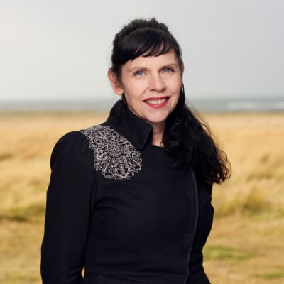 Birgitta Jónsdóttir, Piratpartiet på Island.