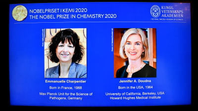 Bild på vinnarna av Nobelpriset i kemi