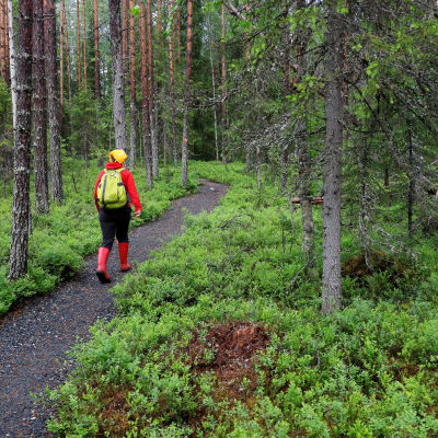 Retkeilijä Hossan kansallispuistossa.