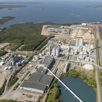 Havainnekuva Metsä Groupin (Metsä Fibre) uudesta mäntysahasta, joka aiotaan rakentaa Raumalle.