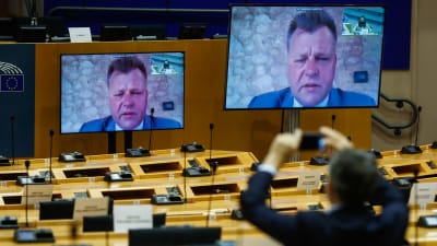 Litauens viceutrikesminister Mantas Adomenas talar per videolänk inför EU-parlamentets utrikesutskott.